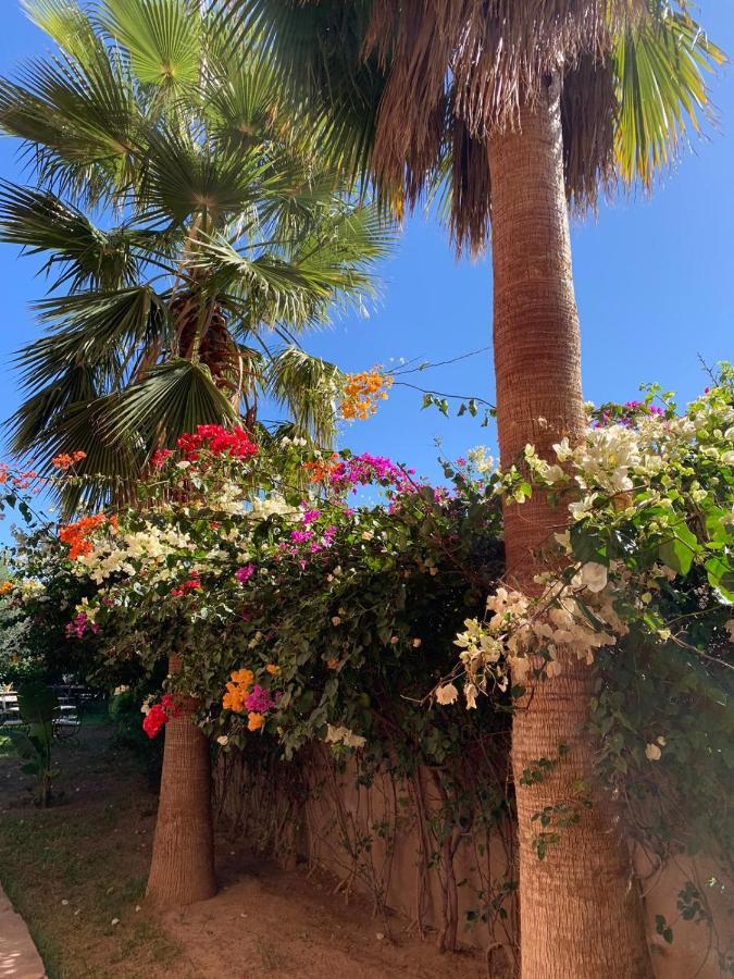 Les Terrasses Du Lac Marrakech Lalla Takerkoust Εξωτερικό φωτογραφία