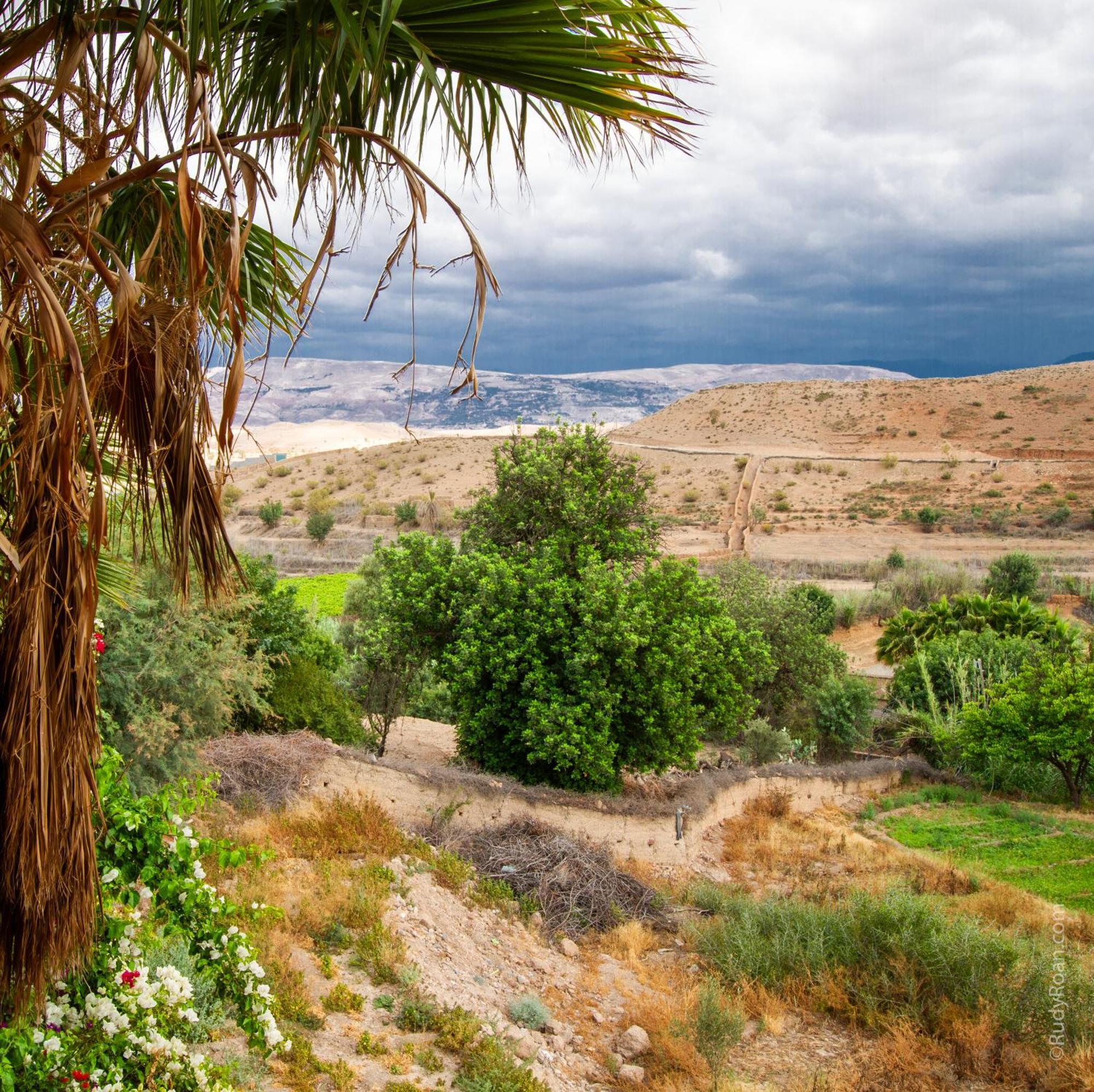Les Terrasses Du Lac Marrakech Lalla Takerkoust Εξωτερικό φωτογραφία